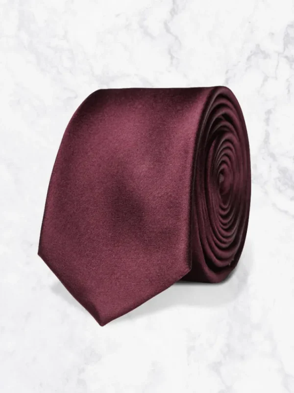 Palenzo Accessoires Et Chaussures | Cravates Et Nœuds Papillon | Cravate - Prune satin