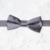 Palenzo Accessoires Et Chaussures | Cravates Et Nœuds Papillon | Nœud papillon - Anthracite