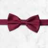 Palenzo Accessoires Et Chaussures | Cravates Et Nœuds Papillon | Nœud papillon - Bordeaux