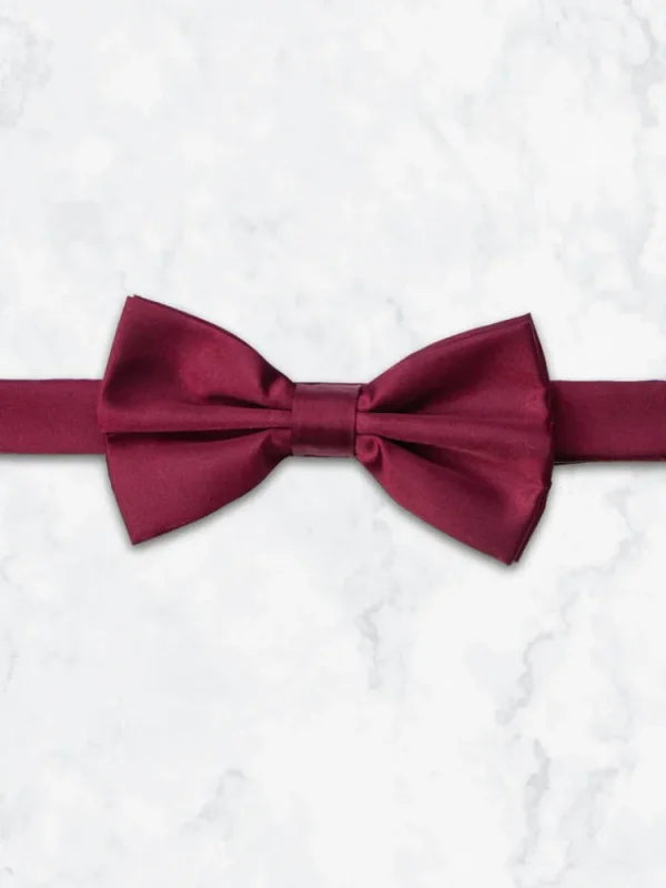 Palenzo Accessoires Et Chaussures | Cravates Et Nœuds Papillon | Nœud papillon - Bordeaux