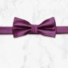 Palenzo Accessoires Et Chaussures | Cravates Et Nœuds Papillon | Nœud papillon - Rouge et bleu