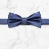 Palenzo Accessoires Et Chaussures | Cravates Et Nœuds Papillon | Nœud papillon - Bleu marine à pois blanc et bleu